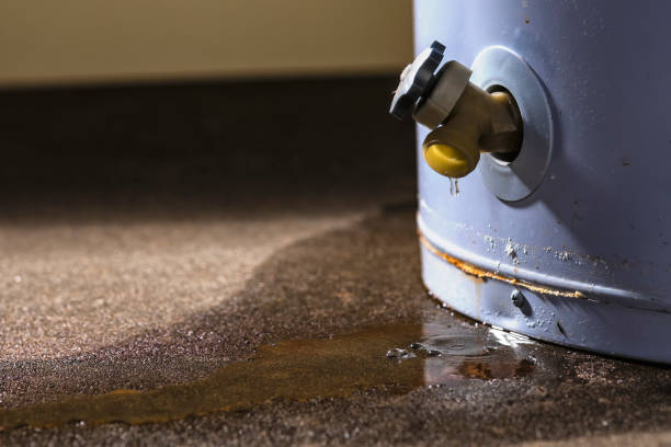 Carpet water damage restoration in Petoskey, MI