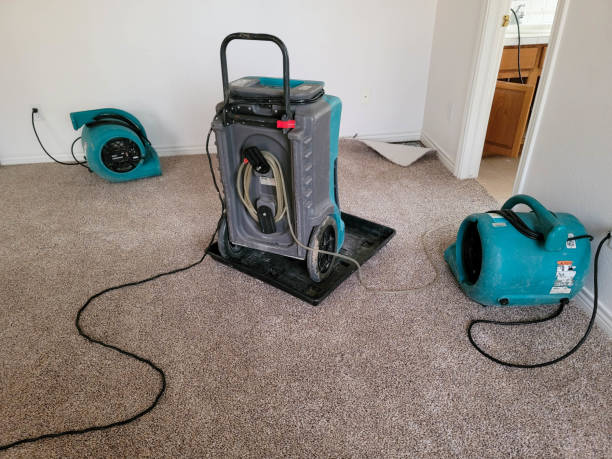 Best Fire Damage Restoration  in Petoskey, MI