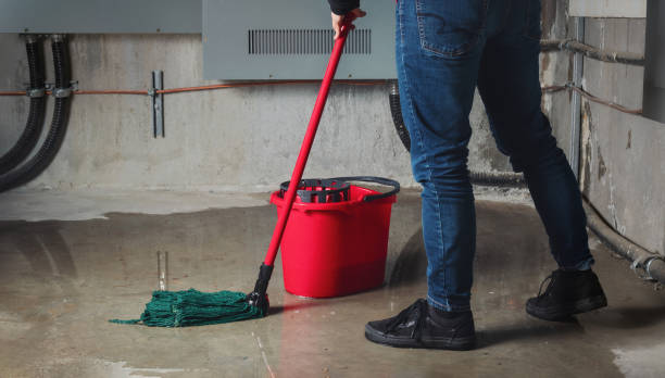 Best Commercial water damage restoration  in Petoskey, MI