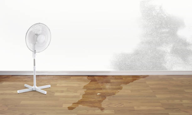 Fire Damage Restoration in Petoskey, MI