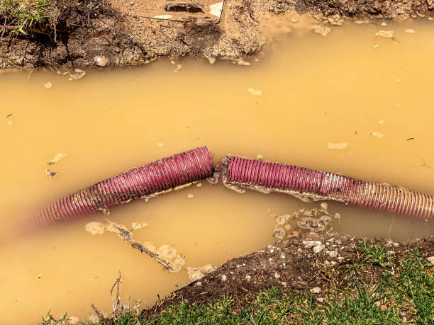 Best Water damage cleanup near me  in Petoskey, MI