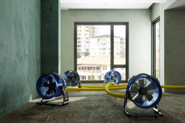 Best 24-hour water damage restoration  in Petoskey, MI
