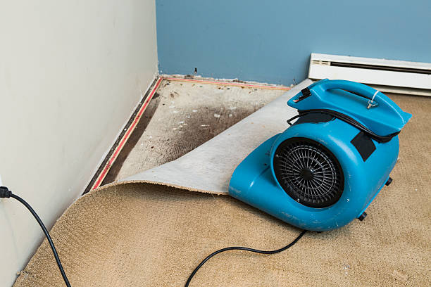Best Flood restoration services  in Petoskey, MI